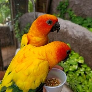 Meet your Posher, Kera